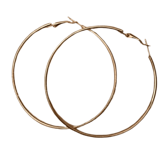 Hoop Earrings